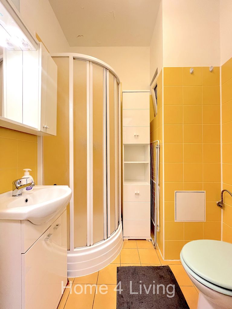 Pronájem bytu 1+1 30 m2