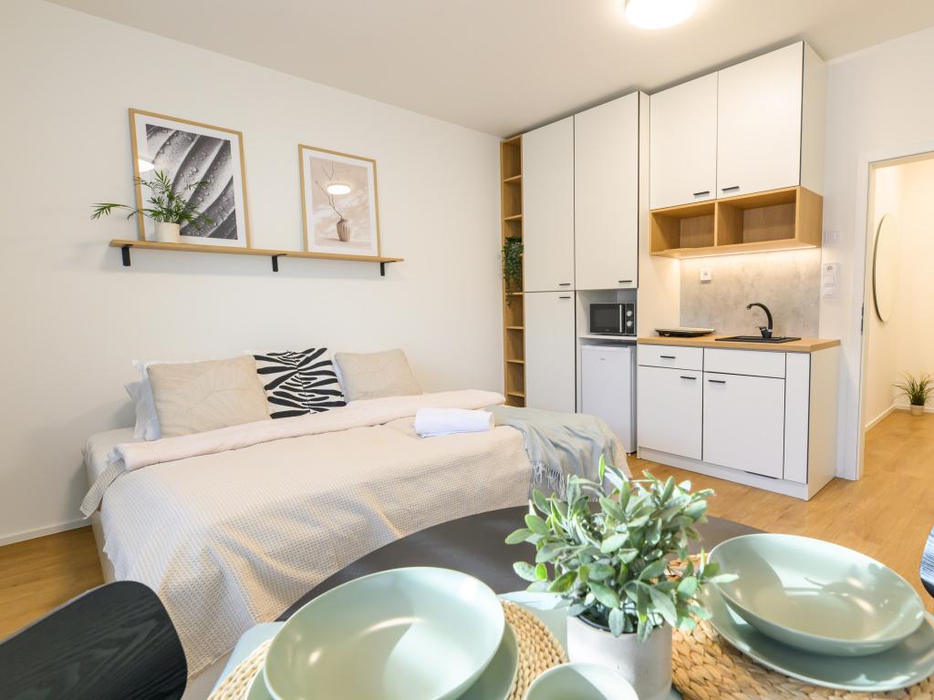 Pronájem bytu 1+kk 30 m2