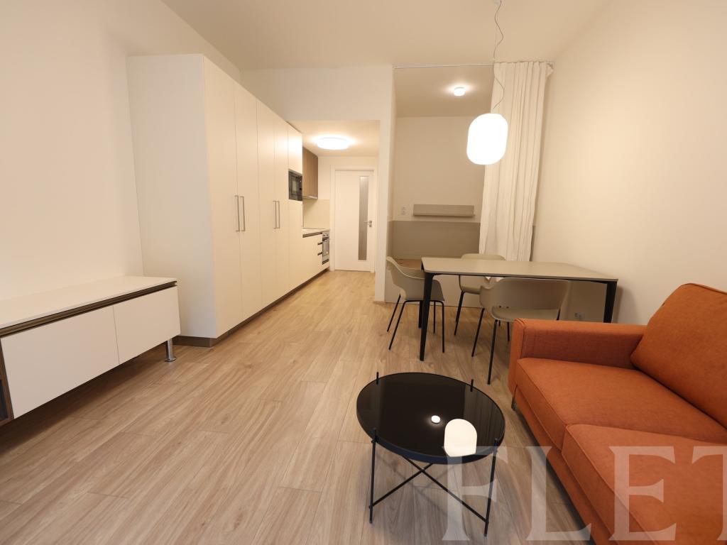 Pronájem bytu 1+kk 38 m2