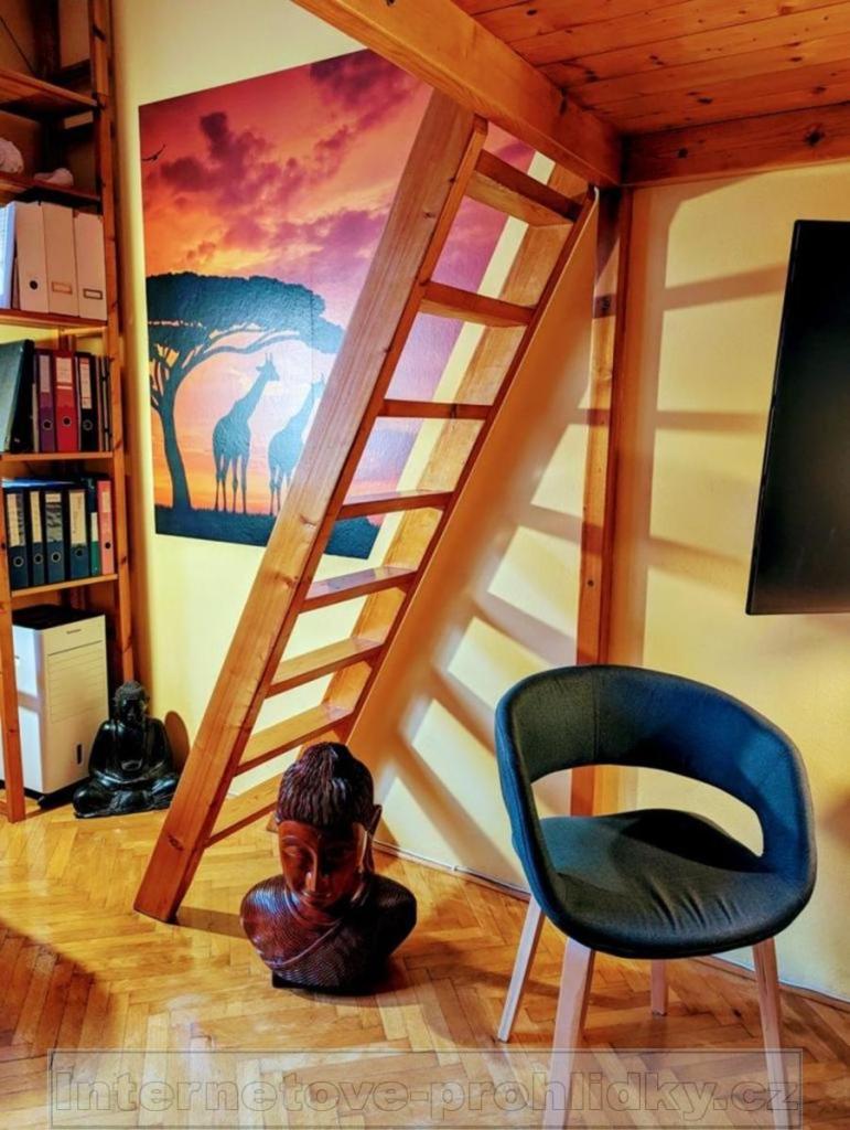 Pronájem bytu 1+1 30 m2