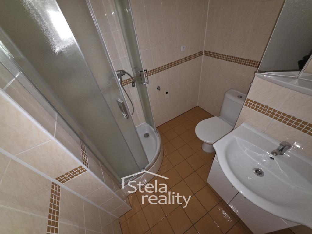 Pronájem bytu 1+1 44 m2