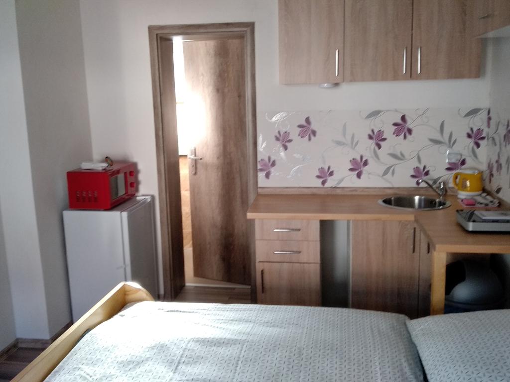 Pronajem bytu 1+kk 20 m2