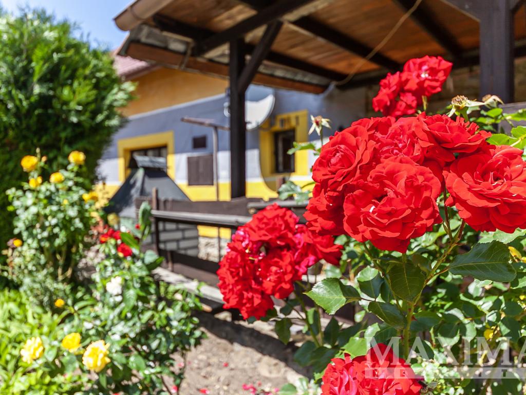 4+1 House in Kosova Hora, okres Příbram - View 5
