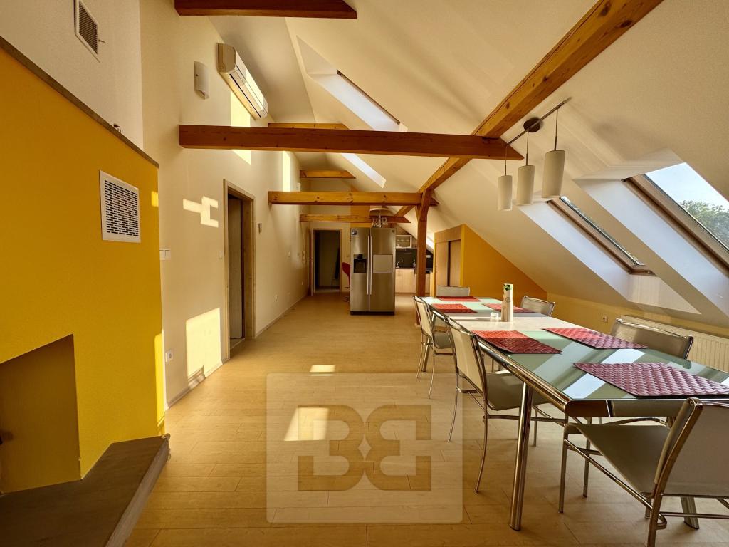 Pronájem bytu 3+kk 195 m2