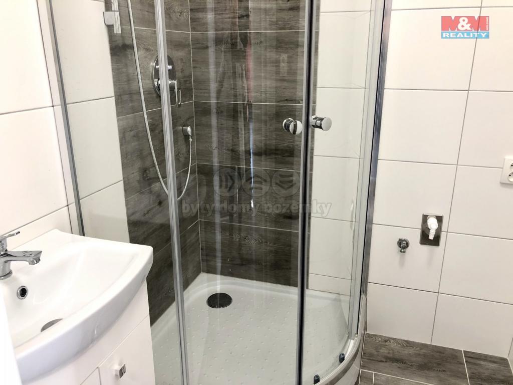 Pronajem bytu 2+1 56 m2
