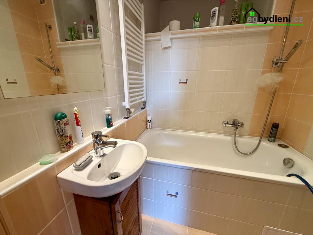 Pronájem bytu 3+1 66 m2