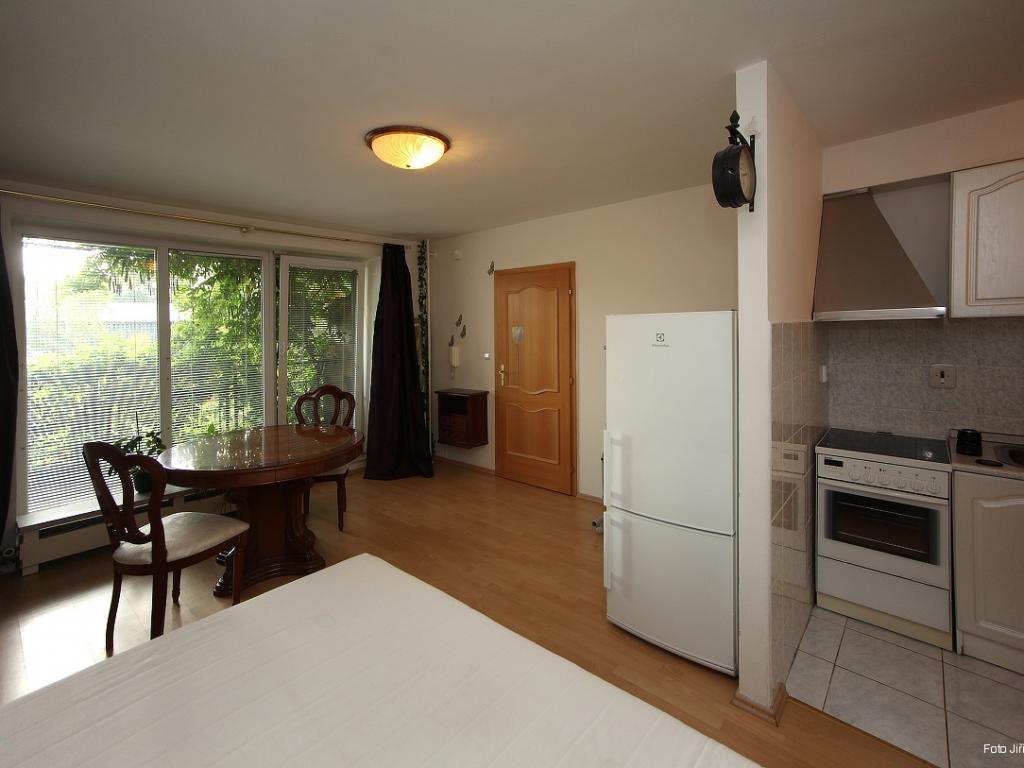 Pronajem bytu 1+kk 34 m2
