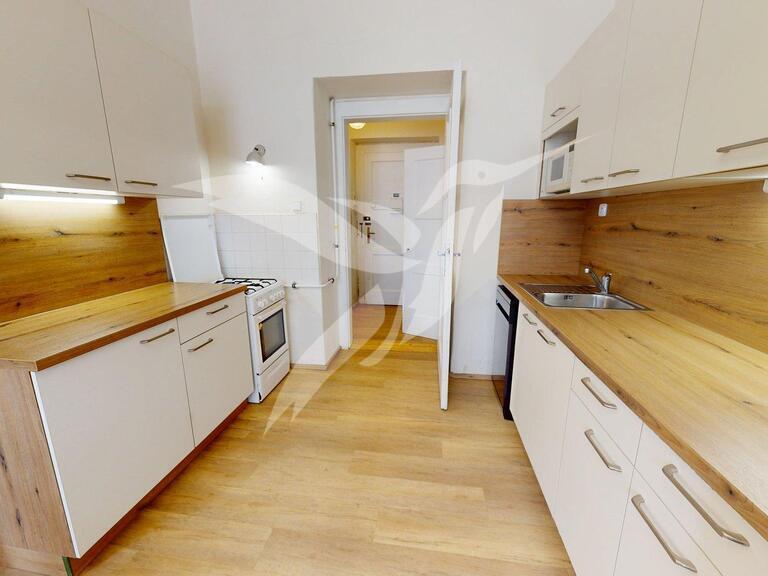 Pronájem bytu 1+1 42 m2