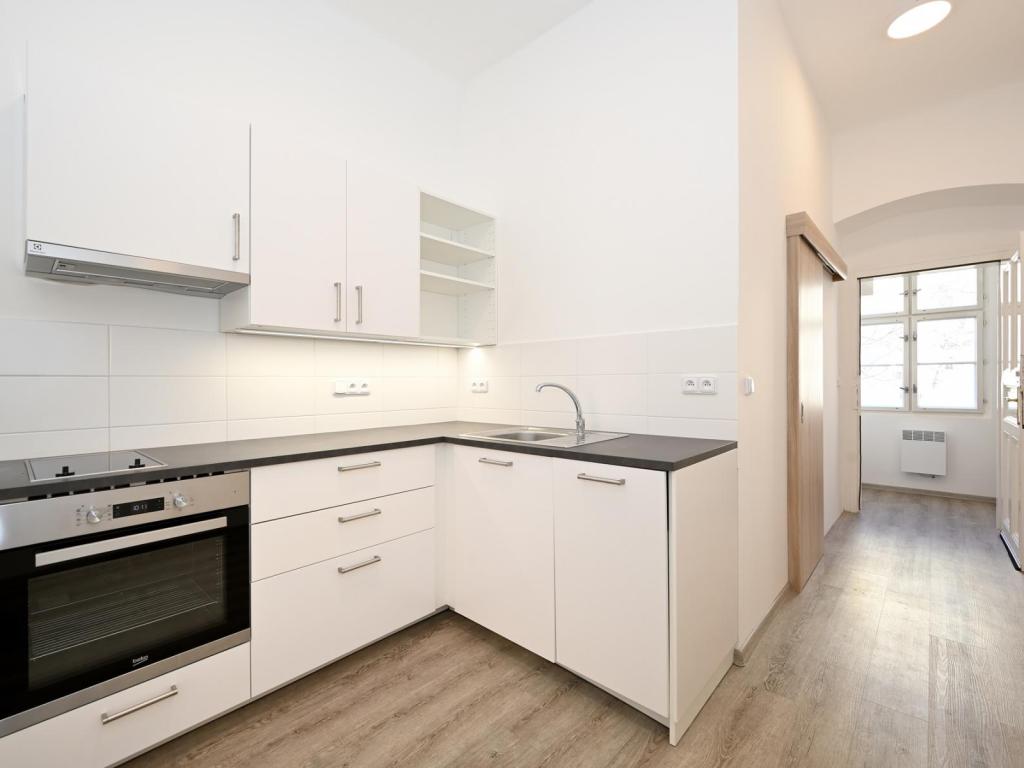 Pronájem bytu 1+1 37 m2
