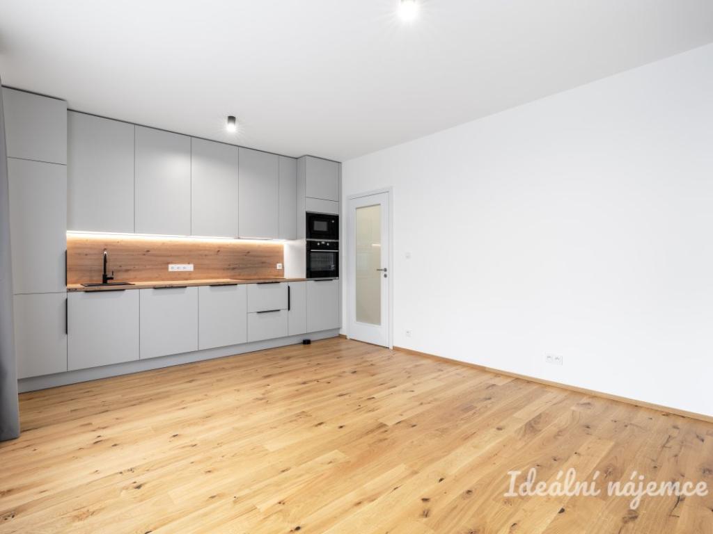 Pronájem bytu 1+kk 33 m2