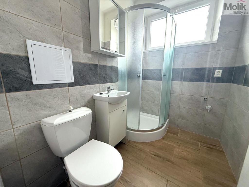 Pronájem bytu 1+kk 20 m2