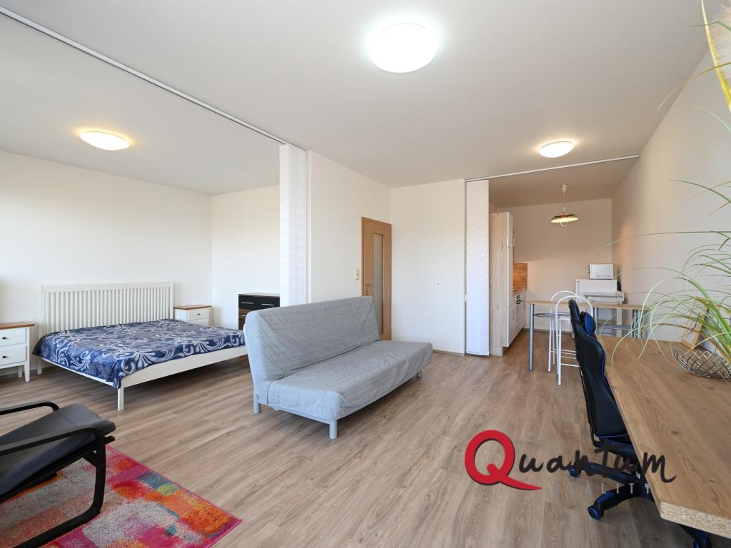 Pronájem bytu 1+kk 49 m2