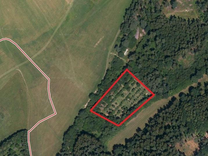 Prodej pozemku 6582 m2, Hrádek – náhled fotky 6
