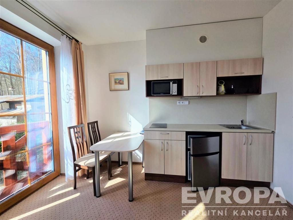Pronájem bytu 1+kk 32 m2