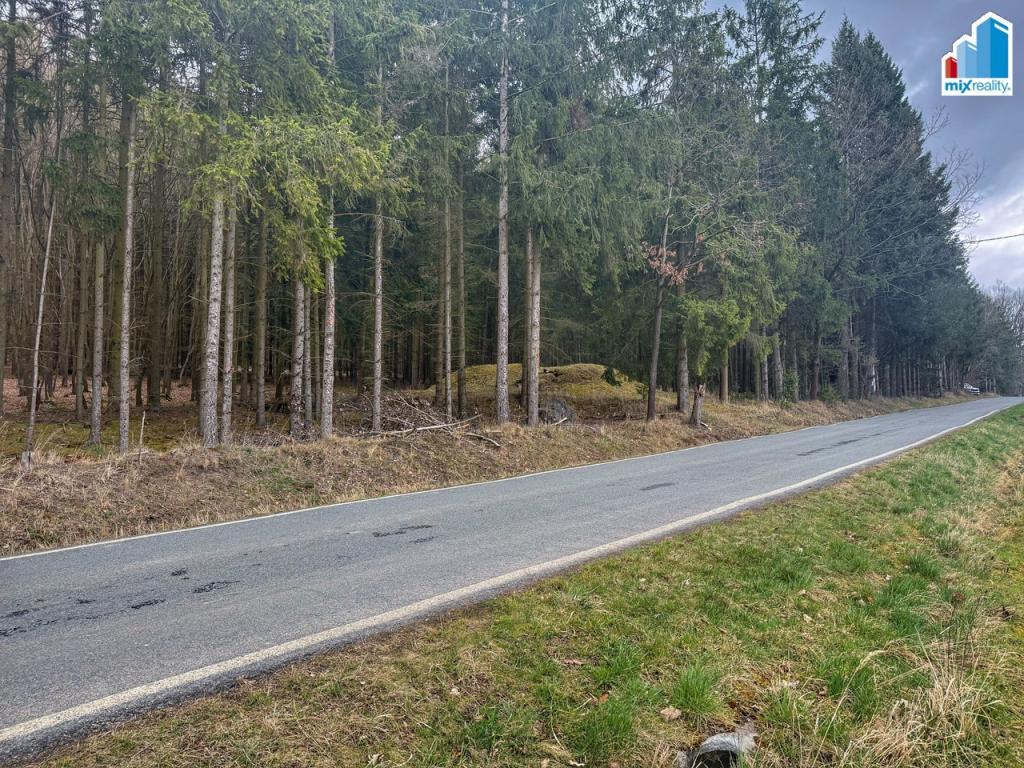 Prodej pozemku 1962 m2, Příchovice – náhled fotky 8