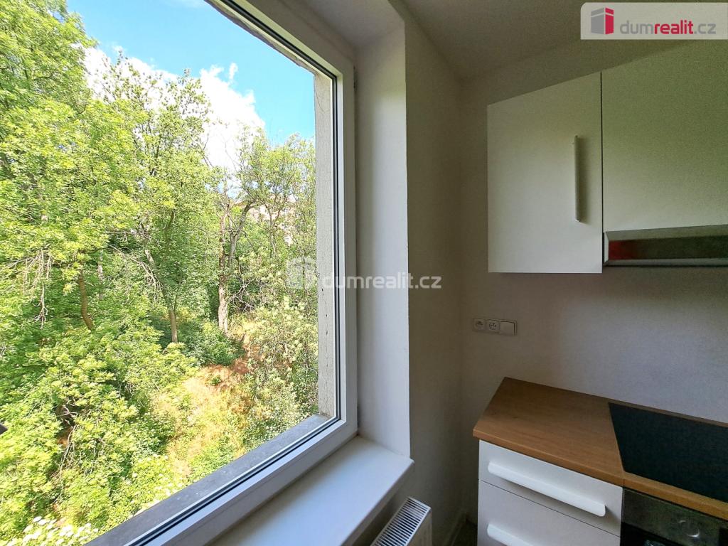 Pronájem bytu 1+1 40 m2