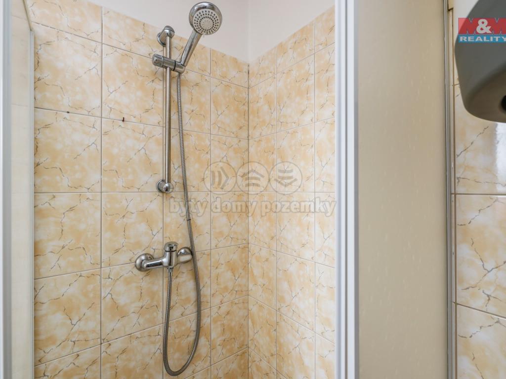 Pronajem bytu 1+kk 35 m2
