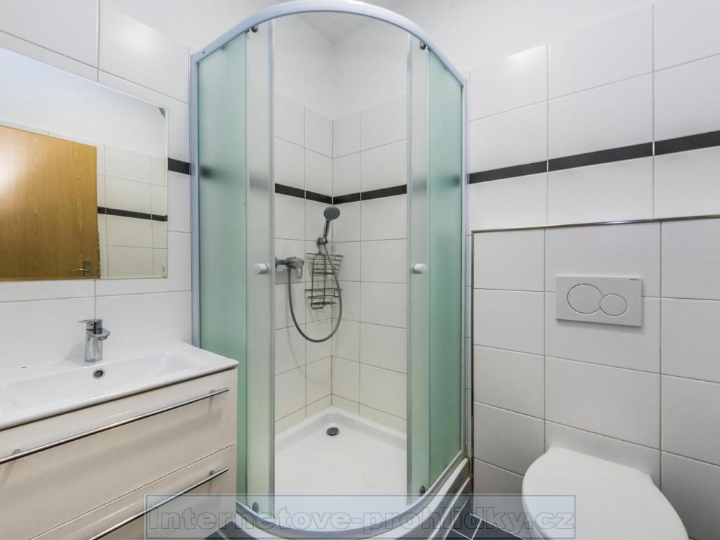 Pronájem bytu 2+kk 54 m2