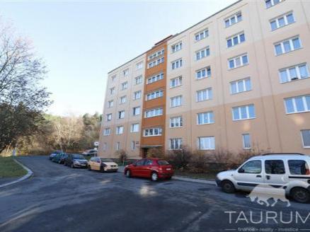 Pronajem bytu 1+1 40 m2