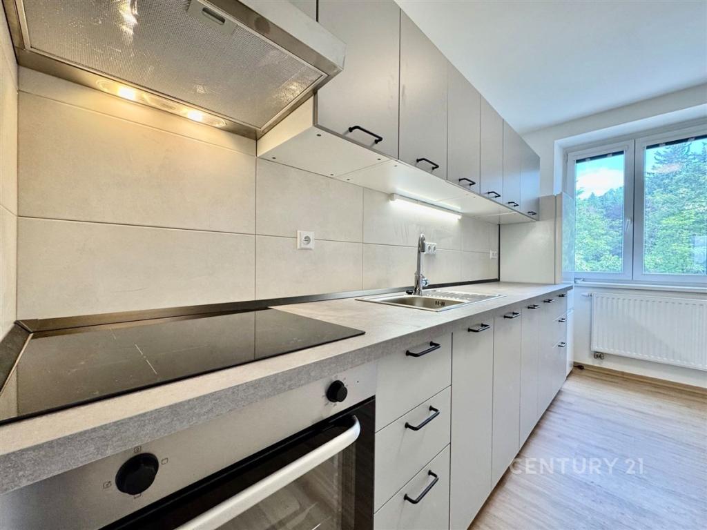 Apartmán 1+1 40 m2 k pronájmu
