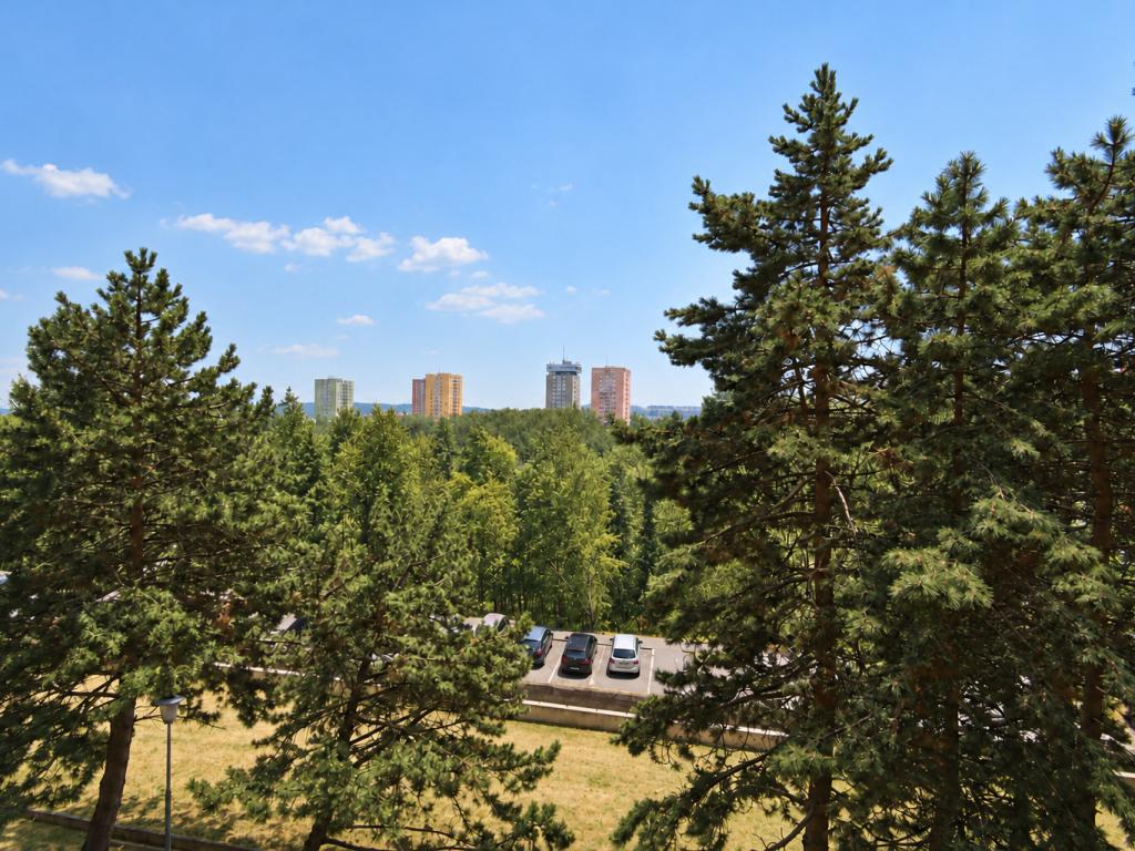 Ostatní