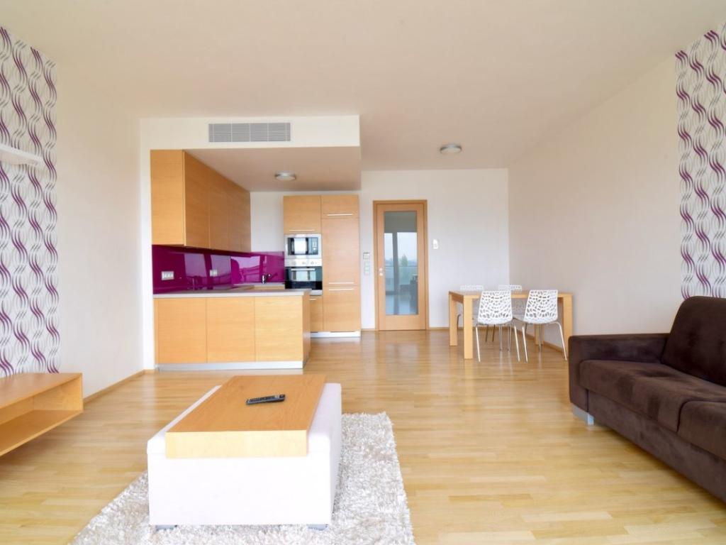 Pronájem bytu 1+kk 50 m2