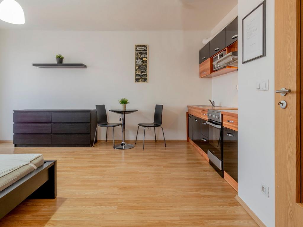 Pronajem bytu 1+kk 40 m2