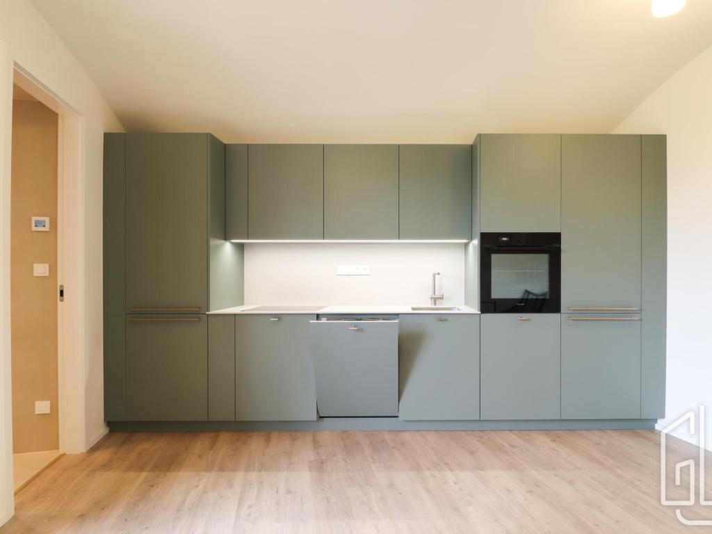 Pronájem bytu 1+kk 59 m2