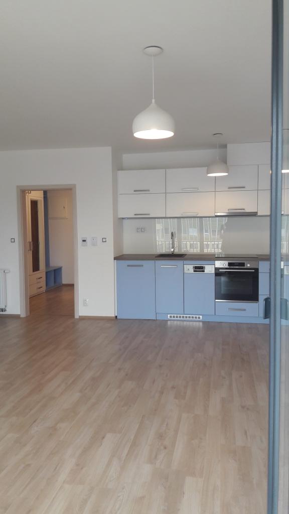 Pronajem bytu 1+kk 45 m2