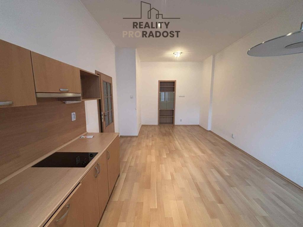 Pronájem bytu 1+kk 46 m2