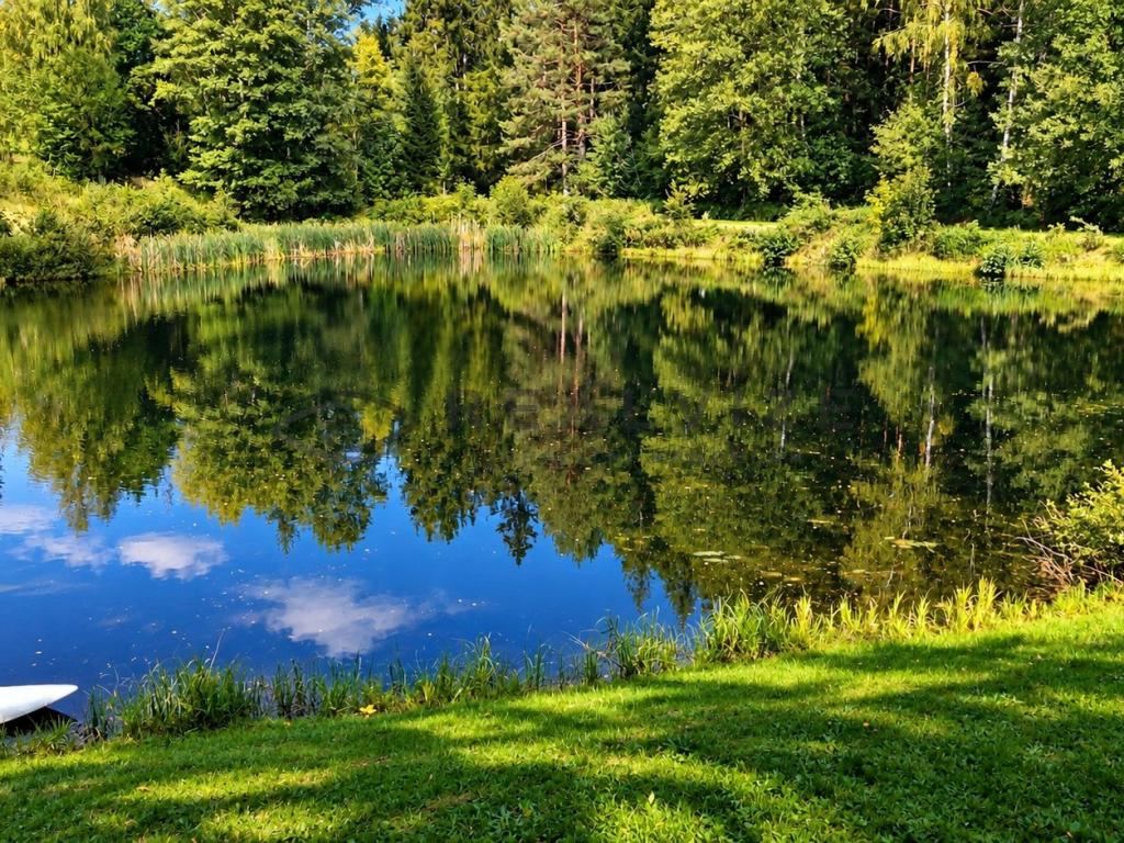 Prodej domu 151 m2, Benešov nad Černou – náhled fotky 14