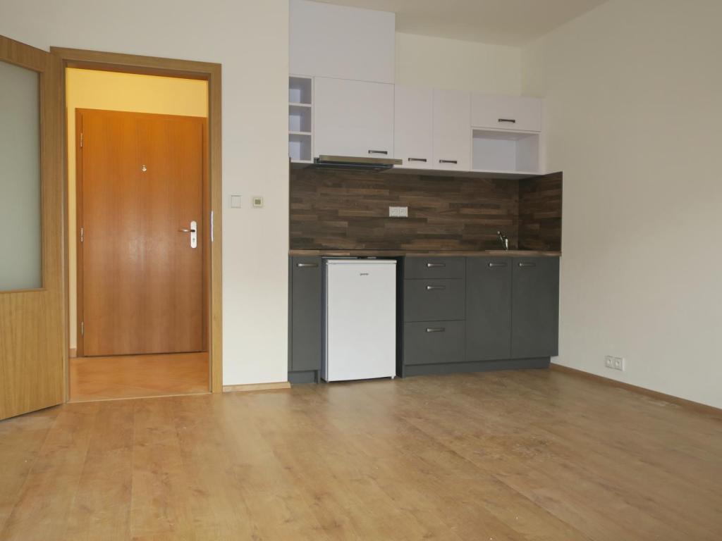 Pronájem bytu 1+kk 25 m2