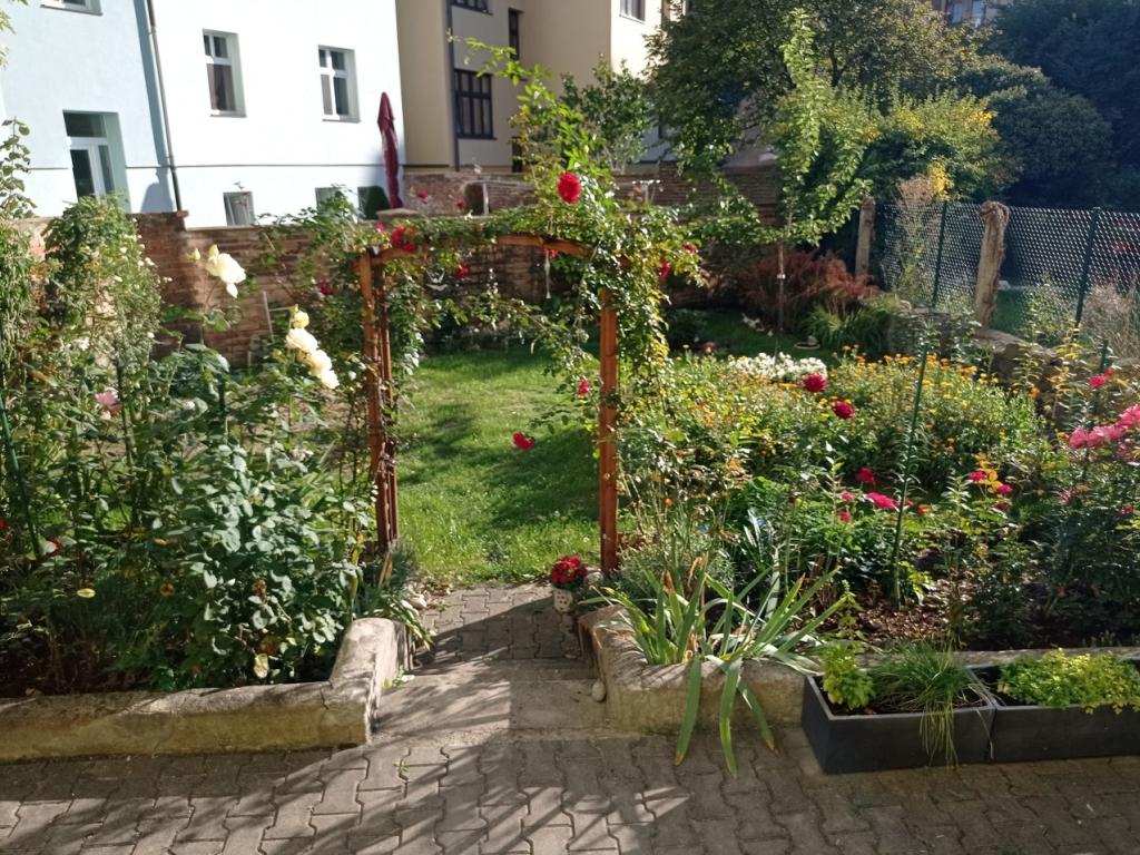 Pronájem bytu 2+kk 58 m2, Plzeň – náhled fotky 12