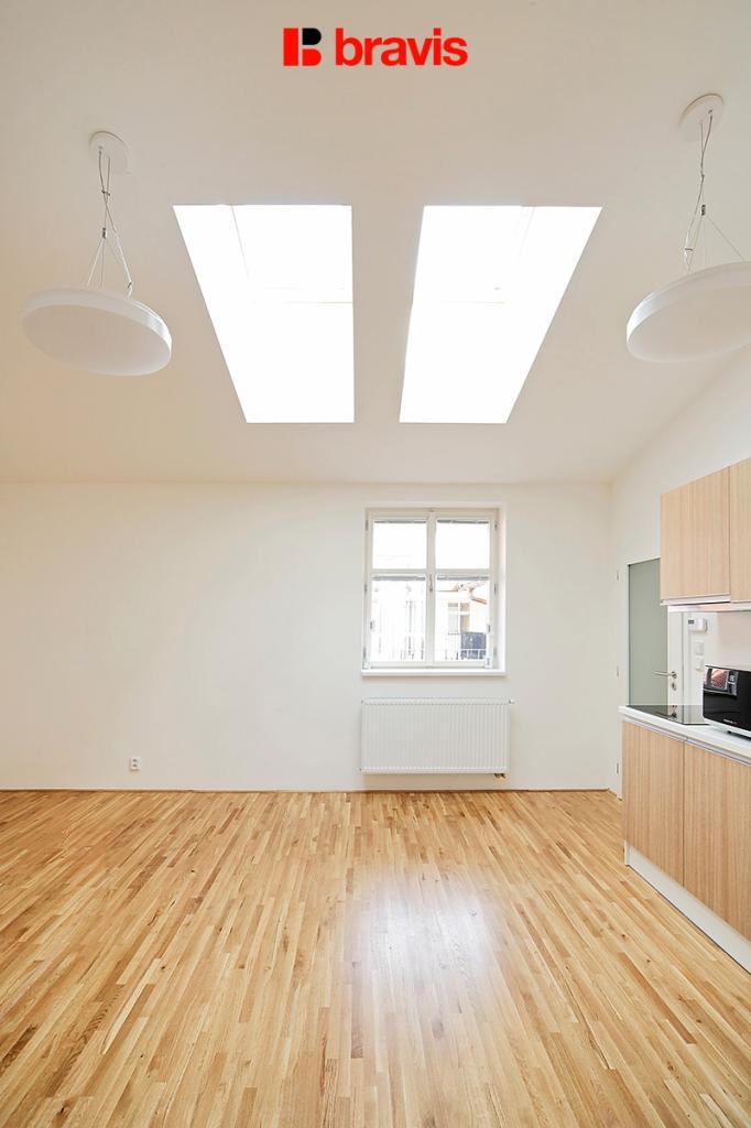 1+kk Apartment in Brno - View 2