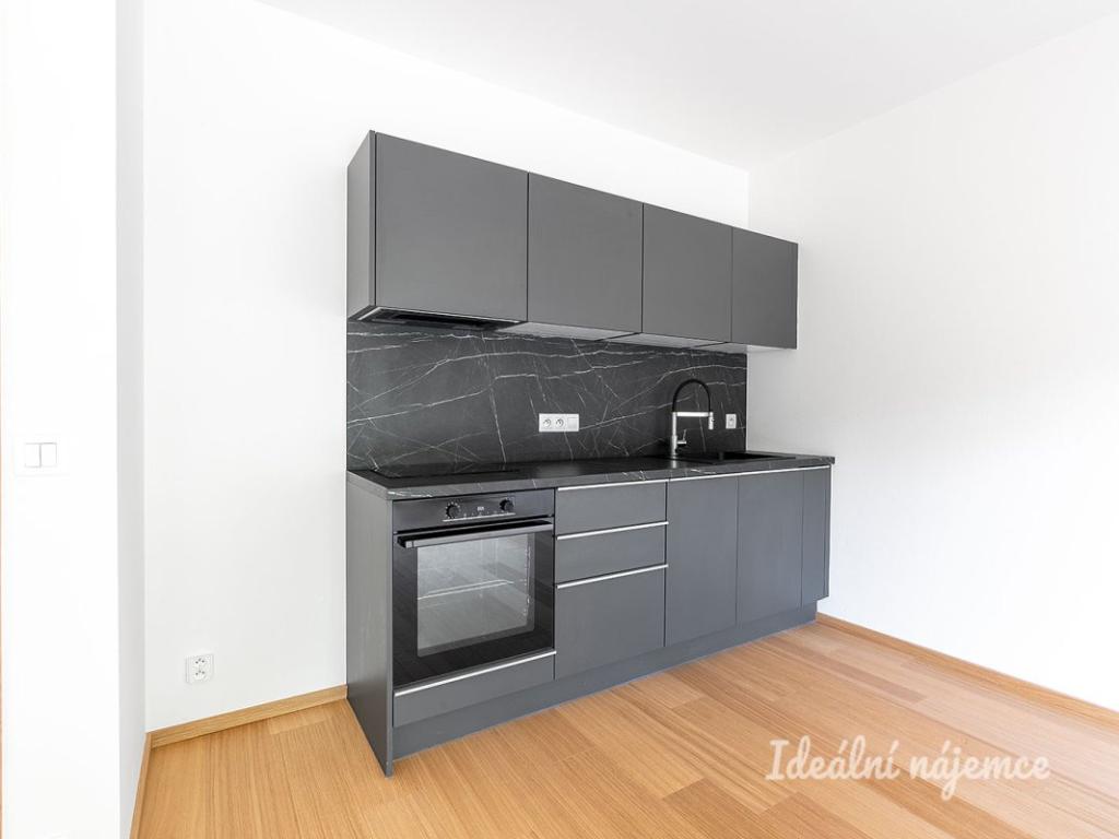 Pronájem bytu 1+kk 40 m2