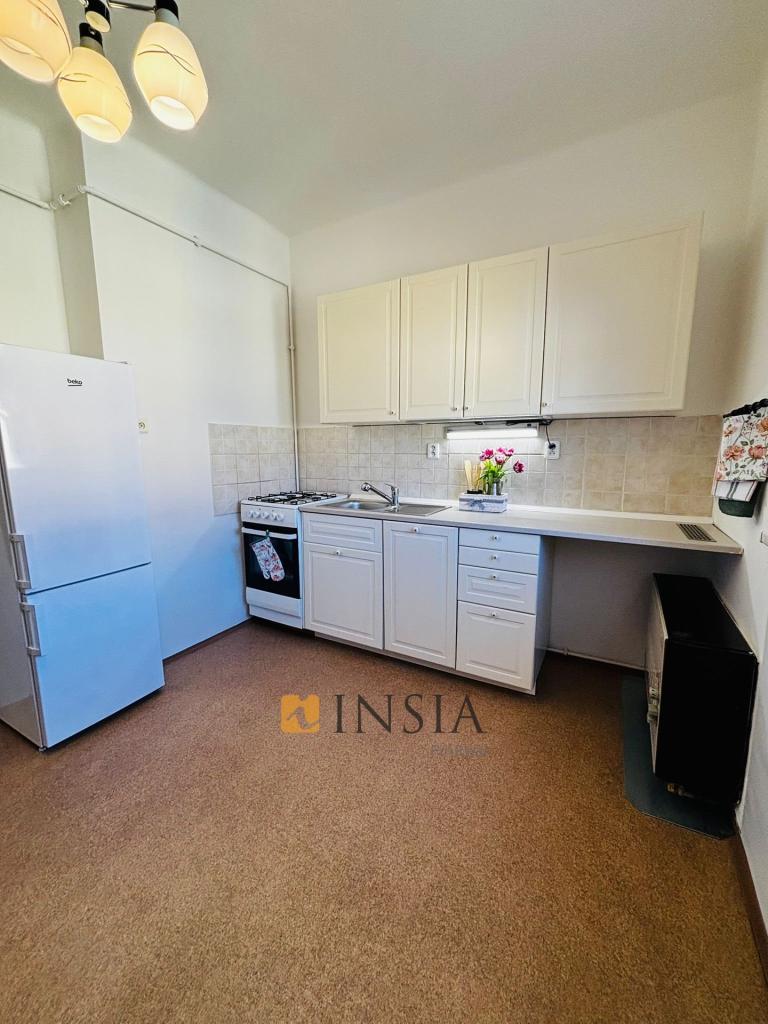 Pronájem bytu 1+1 42 m2