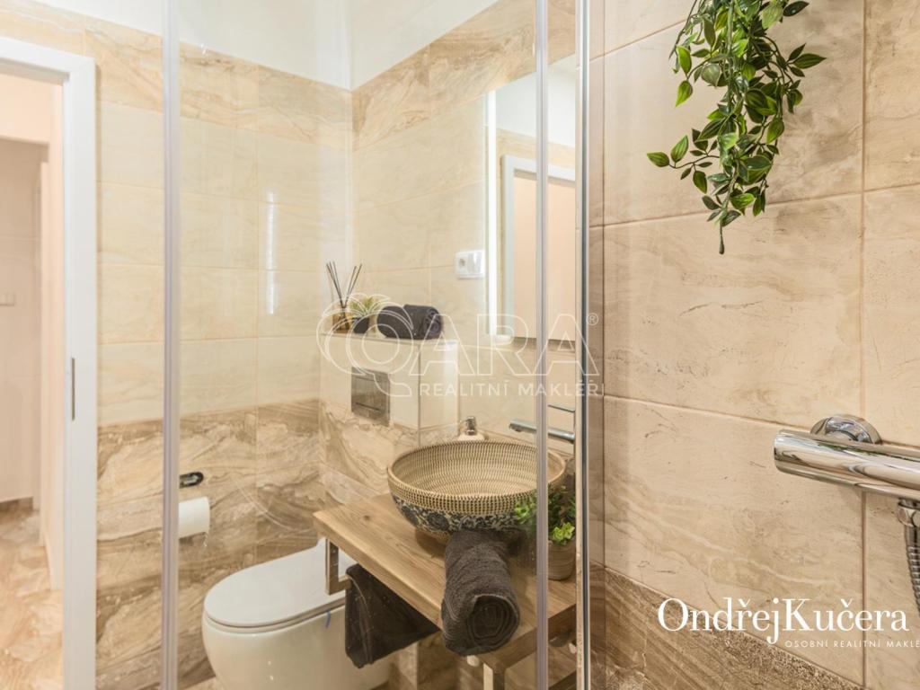 Prodej bytu 2+1 65 m2, Praha – náhled fotky 23