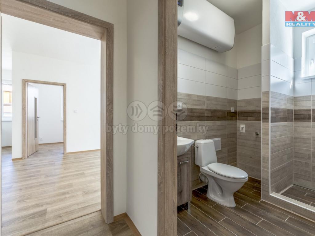 Pronajem bytu 3+kk 47 m2