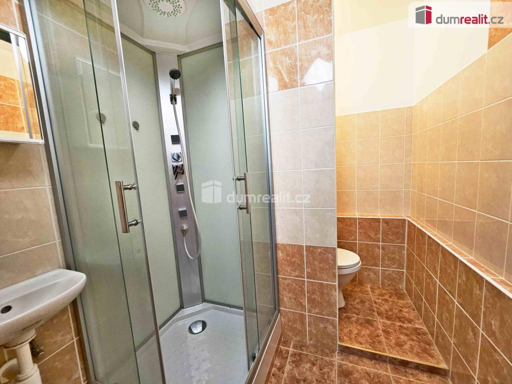 Pronájem bytu 1+1 35 m2