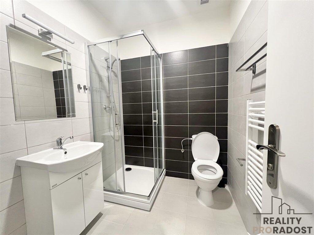 Pronájem bytu 2+1 43 m2, Brno – náhled fotky 7