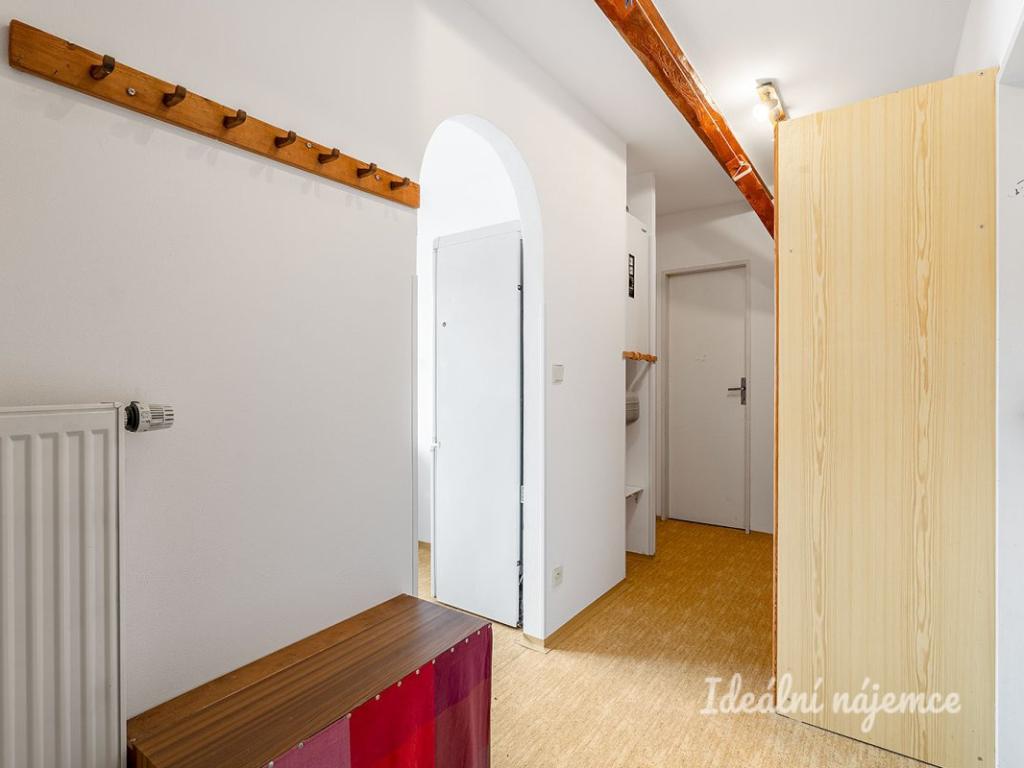 Pronájem bytu 1+1 43 m2
