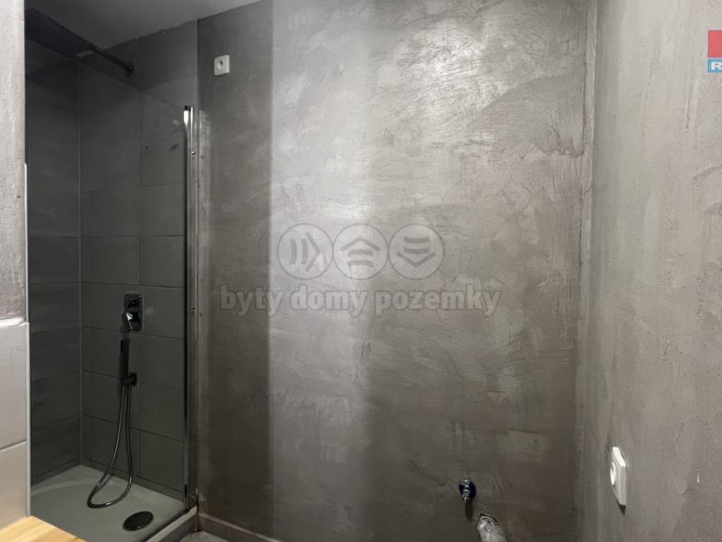 Pronajem bytu 2+1 56 m2