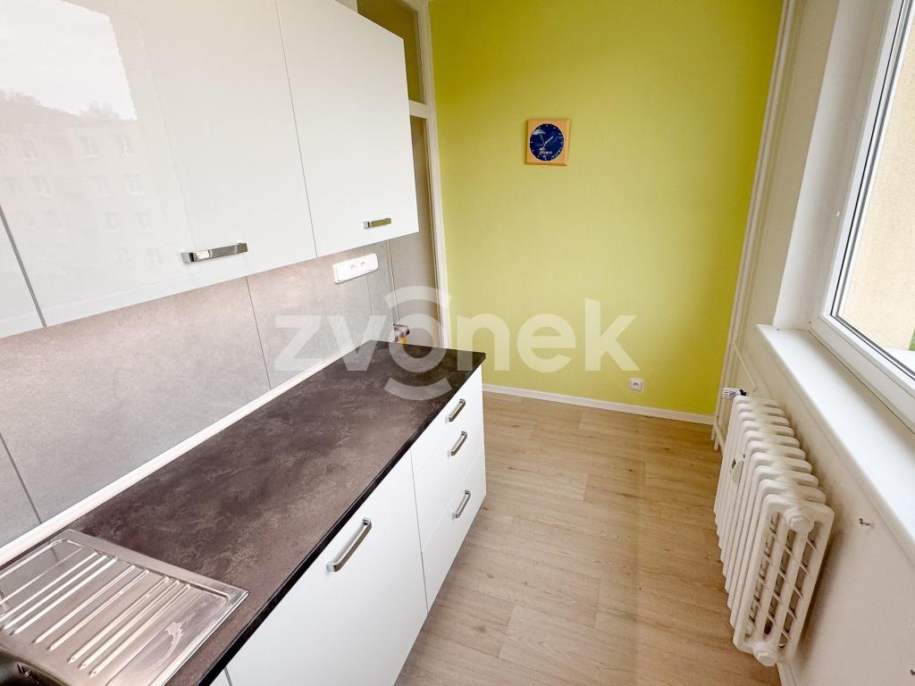 Pronájem bytu 1+1 39 m2