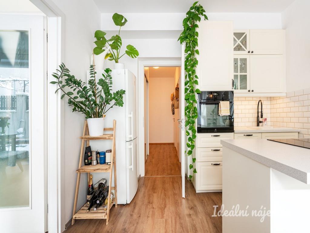 Pronájem bytu 2+kk 48 m2