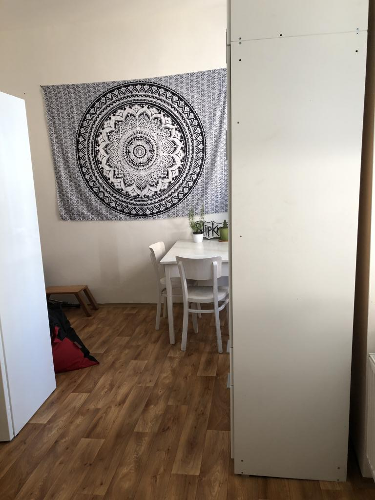 Pronajem bytu 1+1 50 m2