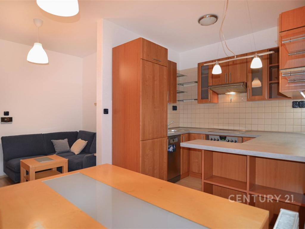 Pronájem bytu 2+kk 46 m2