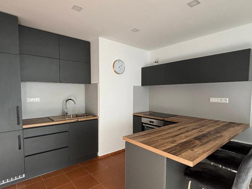 Pronájem bytu 1+1 52 m2