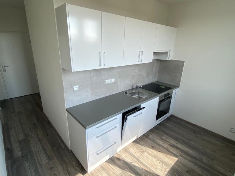 Pronájem bytu 2+1 53 m2