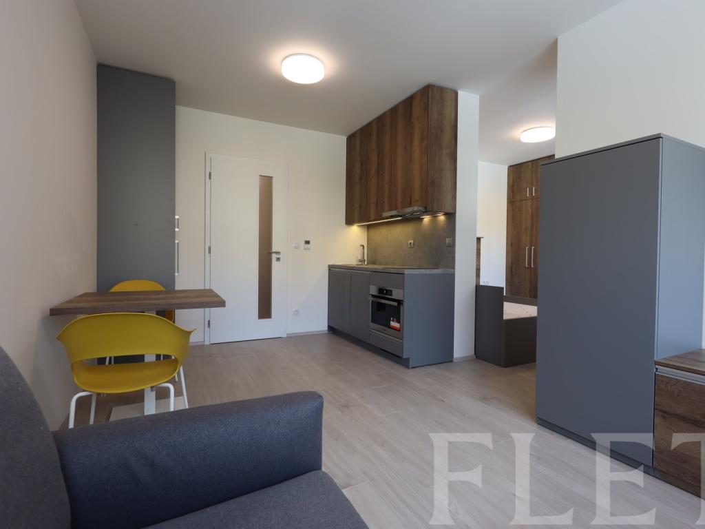 Pronájem bytu 1+kk 38 m2