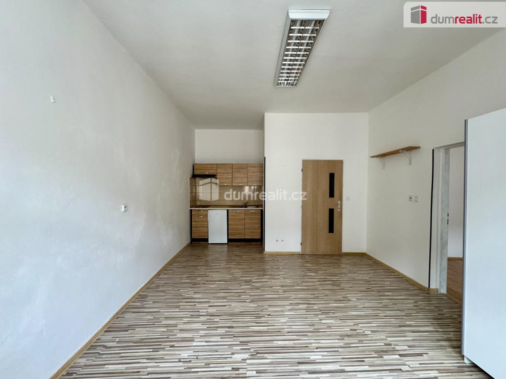 Pronájem bytu 1+1 55 m2